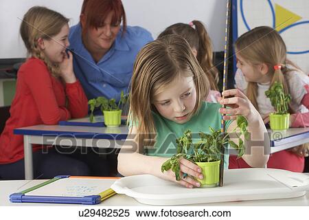 Girl learning about plants in school class View Large Photo Image Stock Photography - Girl learning about plants in school class. Fotosearch