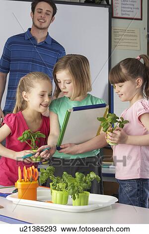 Girls learning about plants in school class View Large Photo Image Stock Image - Girls learning about plants in school class. Fotosearch