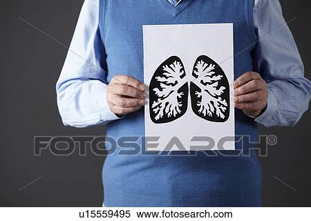 Senior man holding ink drawing of lungs View Large Photo Image Stock Photography - Senior man holding ink drawing of lungs. Fotosearch