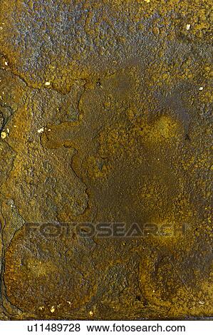 Stock Photo - Abstract pattern. Fotosearch