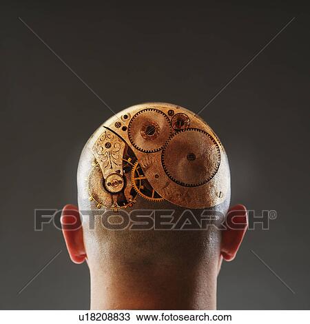 Back view of man with gears in shaved head View Large Photo Image Stock Image - Back view of man with gears in shaved head. Fotosearch