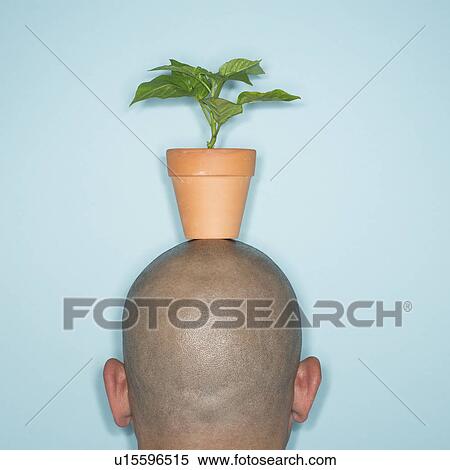 Back view of man with potted plant on head View Large Photo Image Stock Photography - Back view of man with potted plant on head. Fotosearch