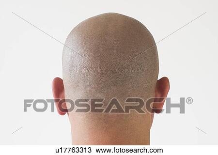 Back view of man with shaved head View Large Photo Image Stock Image - Back view of man with shaved head. Fotosearch