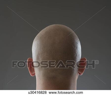Back view of man with shaved head View Large Photo Image Stock Photo - Back view of man with shaved head. Fotosearch