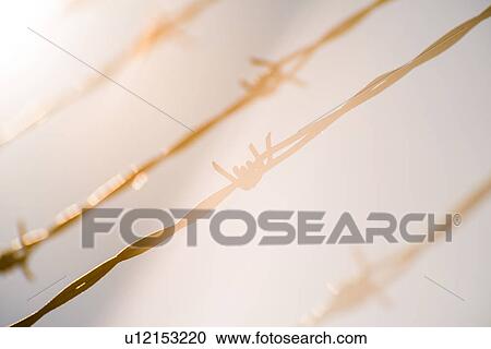 Stock Image - Barbed wire in bright sunshine. Fotosearch