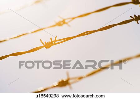Barbed wire in bright sunshine View Large Photo Image Stock Photo - Barbed wire in bright sunshine. Fotosearch