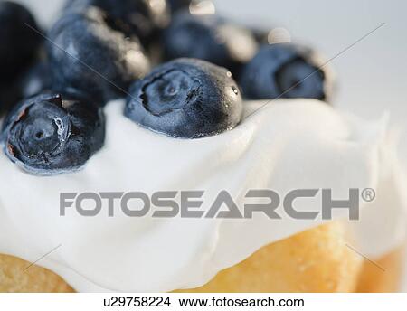 Picture - Close-up of whipped cream with blueberries. Fotosearch