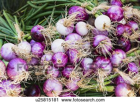 Stock Image - Close-up shot of red onions. Fotosearch