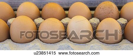 Stock Photography - Eggs in box. Fotosearch