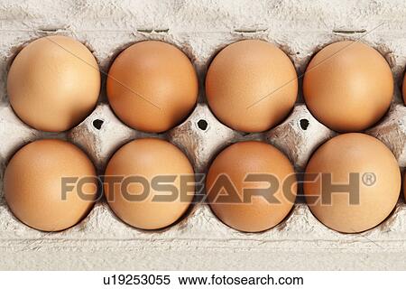 Eggs in carton View Large Photo Image Stock Photography - Eggs in carton. Fotosearch