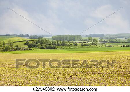 France, Rocroi, Rural landscape View Large Photo Image Stock Image - France, Rocroi, Rural landscape. Fotosearch