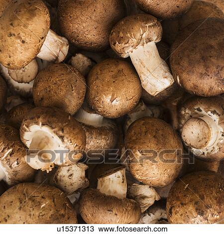 Stock Image - Fresh brown mushrooms. Fotosearch