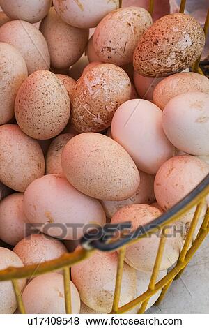 Fresh egg basket View Large Photo Image Stock Photo - Fresh egg basket . Fotosearch