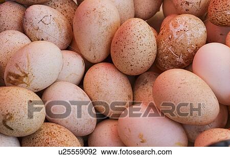 Stock Image - Fresh eggs. Fotosearch