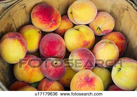 Stock Photograph - Fresh peaches. Fotosearch