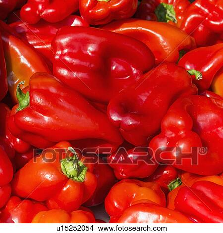 Picture - Fresh red peppers . Fotosearch