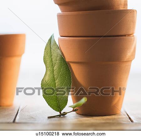 Stock Photo - Stack of flower pots and green leaf. Fotosearch