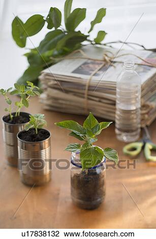 Stack of old newspapers and seedlings in jar and cans View Large Photo Image Stock Image - Stack of old newspapers and seedlings in jar and cans. Fotosearch