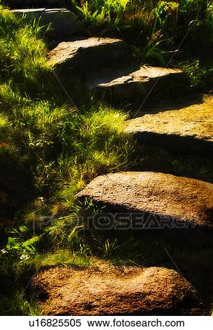 Stock Photography - Stone steps in morning light. Fotosearch