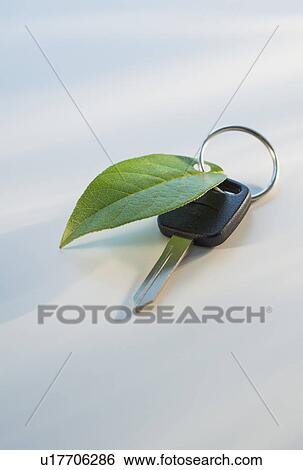 Studio shot of car key with ring and green leaf View Large Photo Image Stock Photograph - Studio shot of car key with ring and green leaf. Fotosearch