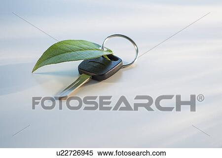 Stock Photography - Studio shot of car key with ring and green leaf. Fotosearch
