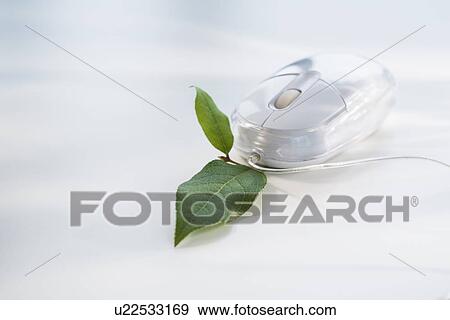 Stock Photo - Studio shot of computer mouse with green leaf. Fotosearch