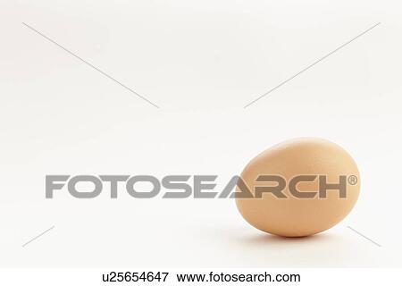 Studio shot of egg View Large Photo Image Stock Photo - Studio shot of egg. Fotosearch