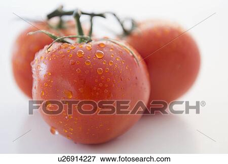 Stock Photo - Studio Shot of fresh tomatoes. Fotosearch