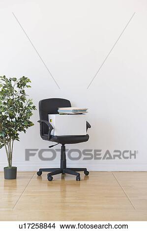 Picture - Studio shot of potted plant and office chair. Fotosearch