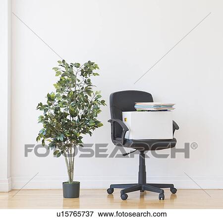 Stock Photo - Studio shot of potted plant and office chair. Fotosearch