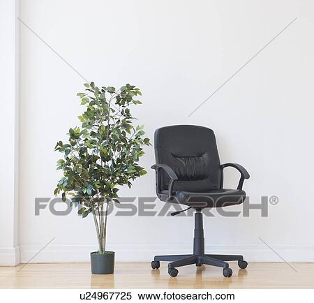 Studio shot of potted plant and office chair View Large Photo Image Stock Photography - Studio shot of potted plant and office chair. Fotosearch