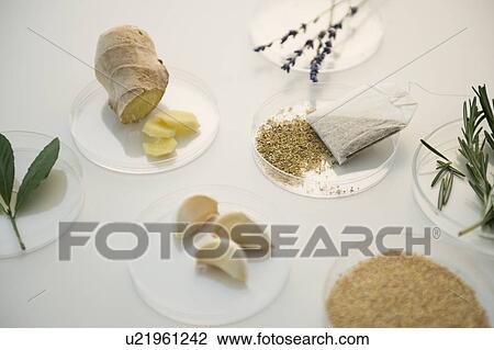 Stock Image - Studio Shot of various spices on petri dishes. Fotosearch