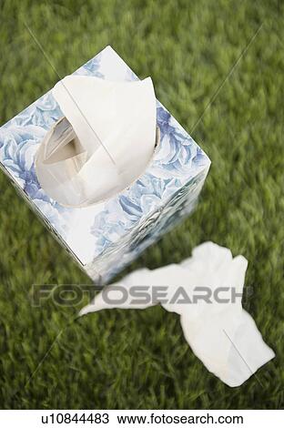 Tissue box and tissues on green grass View Large Photo Image Stock Image - Tissue box and tissues on green grass. Fotosearch