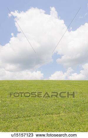 Stock Image - USA, New Jersey, Mendham, Scenic view of meadow. Fotosearch
