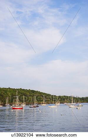 Yachts moored in marina View Large Photo Image Picture - Yachts moored in marina. Fotosearch