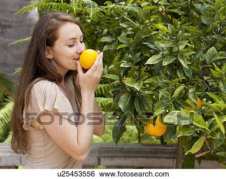Young woman smelling orange View Large Photo Image Stock Photograph - Young woman smelling orange. Fotosearch