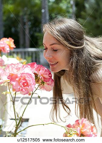 Stock Photography - Young woman smelling rose. Fotosearch