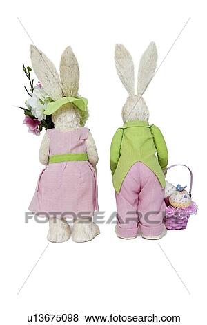 Back view of Rabbit couple standing over white background View Large Photo Image Stock Photo - Back view of Rabbit couple standing over white background. Fotosearch