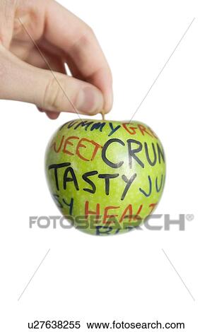Cropped image of hand holding a granny smith apple with orthographic text over white background View Large Photo Image Stock Photography - Cropped image of hand holding a granny smith apple with orthographic text over white background. Fotosearch