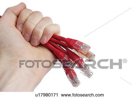 Stock Image - Cropped image of technician holding data cable plug over white background. Fotosearch