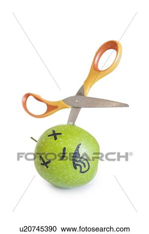Granny smith apple murdered by scissor over white background View Large Photo Image Stock Image - Granny smith apple murdered by scissor over white background. Fotosearch