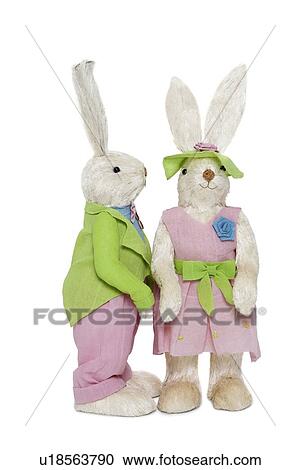 Stock Image - Male and female Bunnies standing over white background. Fotosearch