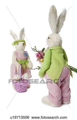 Male and female Rabbits with flower bouquet and basket over white background View Large Photo Image Stock Photograph - Male and female Rabbits with flower bouquet and basket over white background. Fotosearch