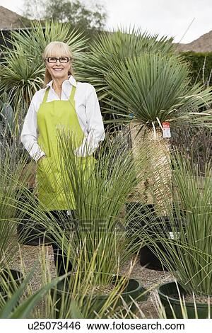 Portrait of a senior female gardener surrounded by potted plants View Large Photo Image Stock Photograph - Portrait of a senior female gardener surrounded by potted plants. Fotosearch