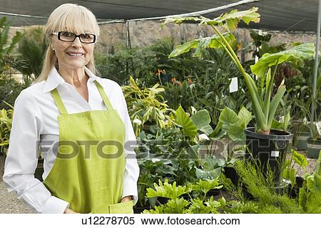 Portrait of a senior gardener in garden center View Large Photo Image Stock Photography - Portrait of a senior gardener in garden center. Fotosearch
