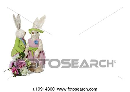 Rabbit couple with flower bouquet standing over white background View Large Photo Image Stock Image - Rabbit couple with flower bouquet standing over white background. Fotosearch