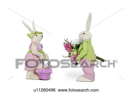 Side view of male Bunny with flower bouquet and female Rabbit over white background View Large Photo Image Stock Photograph - Side view of male Bunny with flower bouquet and female Rabbit over white background. Fotosearch