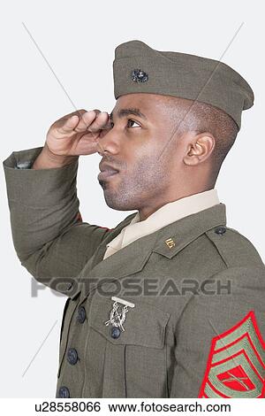 Male US soldier saluting over gray background View Large Photo Image Stock Photograph - Male US soldier saluting over gray background. Fotosearch
