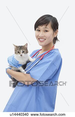 Stock Image - Portrait of Asian female veterinarian holding cat over gray background. Fotosearch