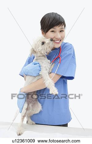 Portrait of Asian female veterinarian cuddling dog over gray background View Large Photo Image Stock Photo - Portrait of Asian female veterinarian cuddling dog over gray background. Fotosearch